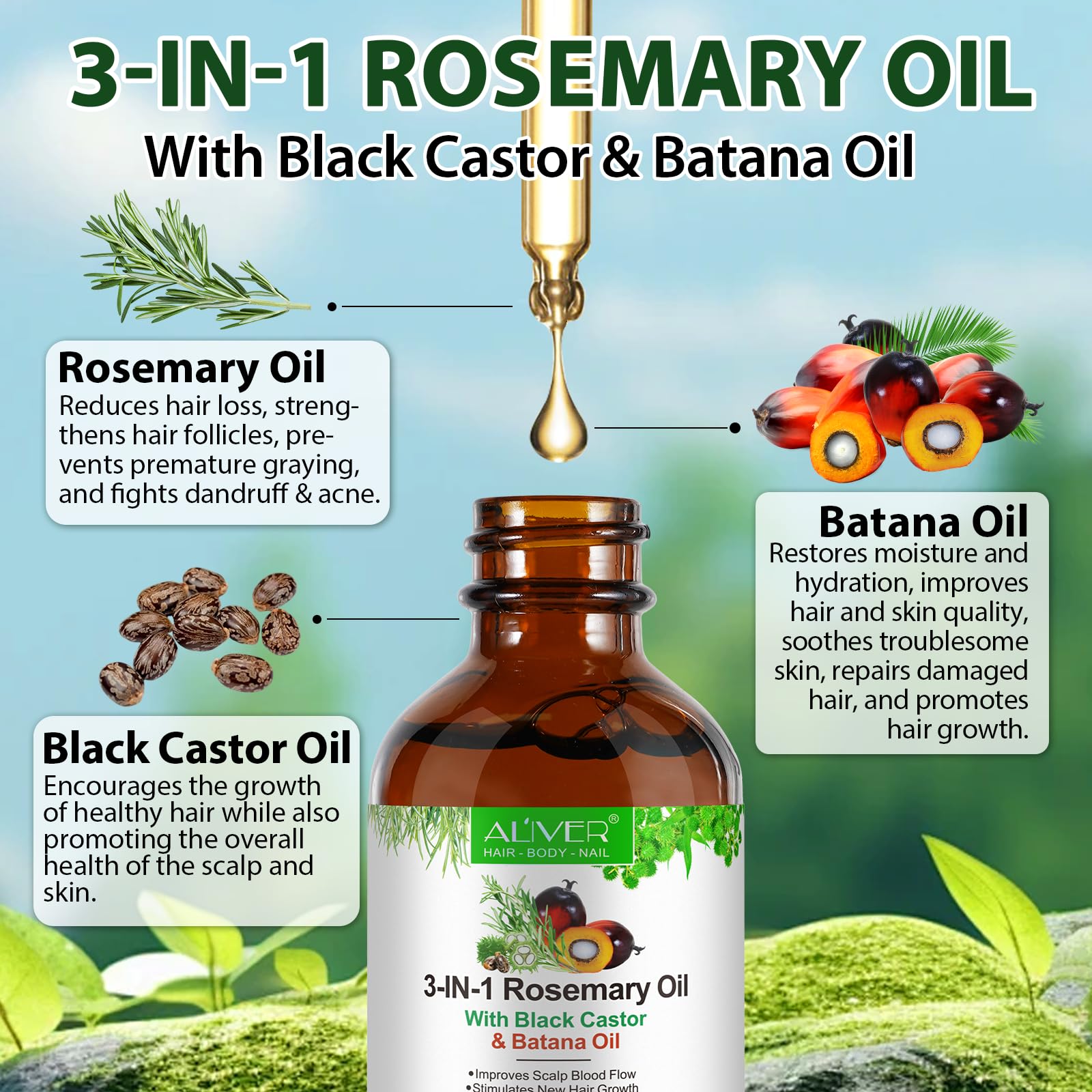 3-in-1 Hair Growth Oil 60ml - Batana, Rosemary & Black Castor Oil Bwetinde B Enterprises